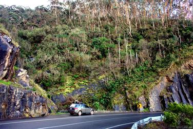 Von Mueller Creek, Great Ocean Road, Victoria, Australia
