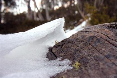 New South Wales snowfields, Australia