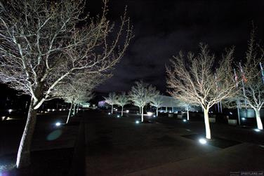 Commonwealth Place at night, Canberra, Australian Capital Territory