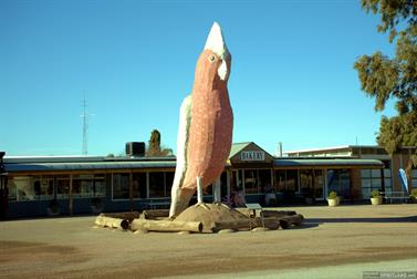 The Big Galah, Kimba, South Australia