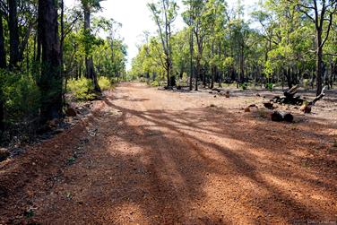 Gravel road in the Harris River State Forest, Harvey, Western Australia