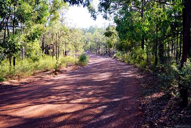 Gravel road, Harris River State Forest, Harvey, Western Australia
